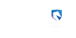 لوگو